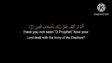 سورة الفيل #القارئ_عيون_الكوشي #شاشه_سوداء