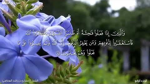 سورة آل عمران (١٣٣_١٣٦) الشيخ مشاري العفاسي