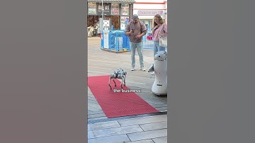 Get ahead in the game! Bring attention & customers to you 🐶🤝 Link in bio 🦾 #toborlife #robotdog