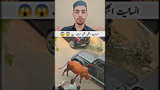 Aaj Bhi Duniya Mein Insaniyat Zinda Hai ❤️😱 #reel #trending #animals
