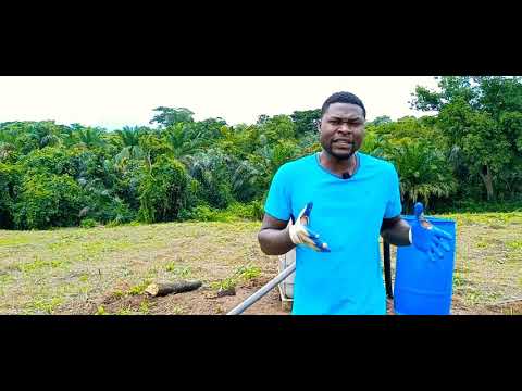 Vidéo: Conseils pour arroser les pastèques