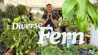 Fern Competition | Suan Luang Rama IX Flora Festival 2025 ๐น๐ญ Ep. 6