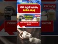 ଚିନି ରପ୍ତାନି ଉପରେ ଲାଗିବ ରୋକ୍ || Kalinga TV