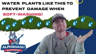 How To Protect Plants, When Soft Washing and Pressure Washing❗️ screenshot 5