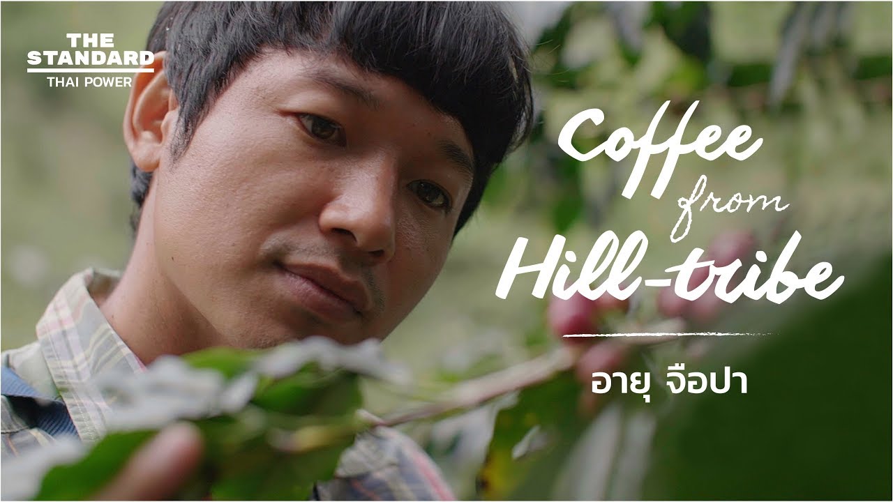 อายุ จือปา ผู้ก่อตั้งอาข่า อาม่า แบรนด์กาแฟชาวเขาระดับโลก - Thai Power Series EP01