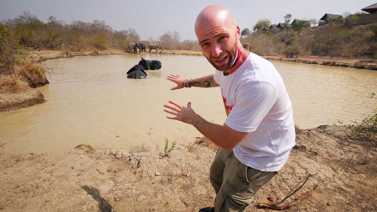 24 Hours in LUXURY AFRICAN SAFARI Camp!! Ghanaian Food & Attractions | Mole National Park, Ghana