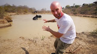 24 Hours in LUXURY AFRICAN SAFARI Camp!! Ghanaian Food & Attractions | Mole National Park, Ghana