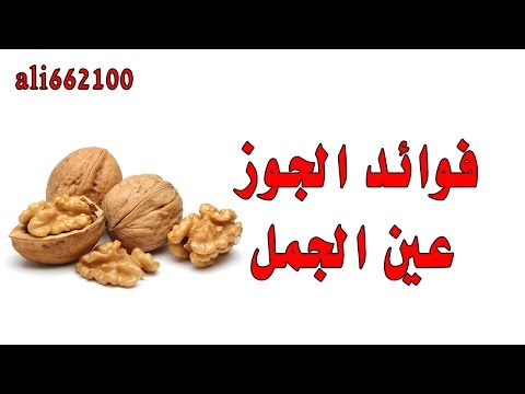 فوائد الجوز او عين الجمل Benefits Of Walnuts Youtube