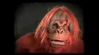 Moving Mouth Super Action Orangutan Monkey Ape Halloween Costume Mask