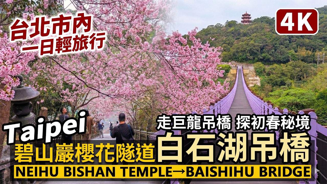 Taipei／從台北內湖碧山巖櫻花隧道走到白石湖吊橋 Neihu Bishan Temple and Cherry Blossoms Trail →Baishihu Suspension Bridge