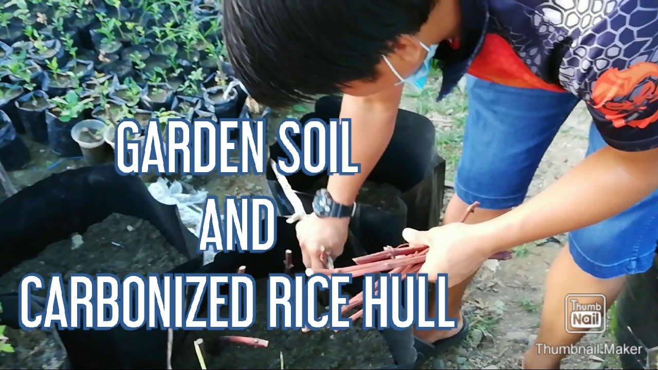 Garden Soil And Carbonized Rice Hull