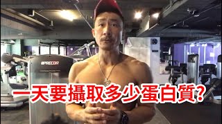 【楷教練聊健身直播精華】一天要攝取多少蛋白質？先確立目標再 ... 