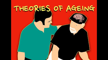 The developmental and psychosocial theories of Ageing