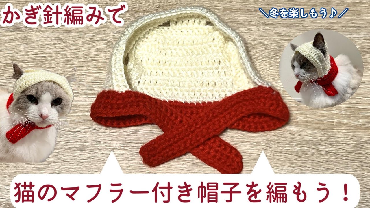 猫ちゃんと冬を楽しもう♪猫のマフラー付き帽子を編もう！ cat hat