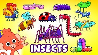 Learn Insects and Bugs for kids | Animals for kids | Club Baboo