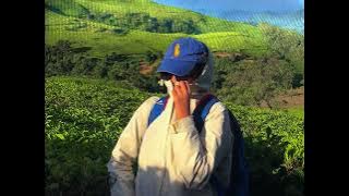 ART - Speedup (Audio & Lyrics)