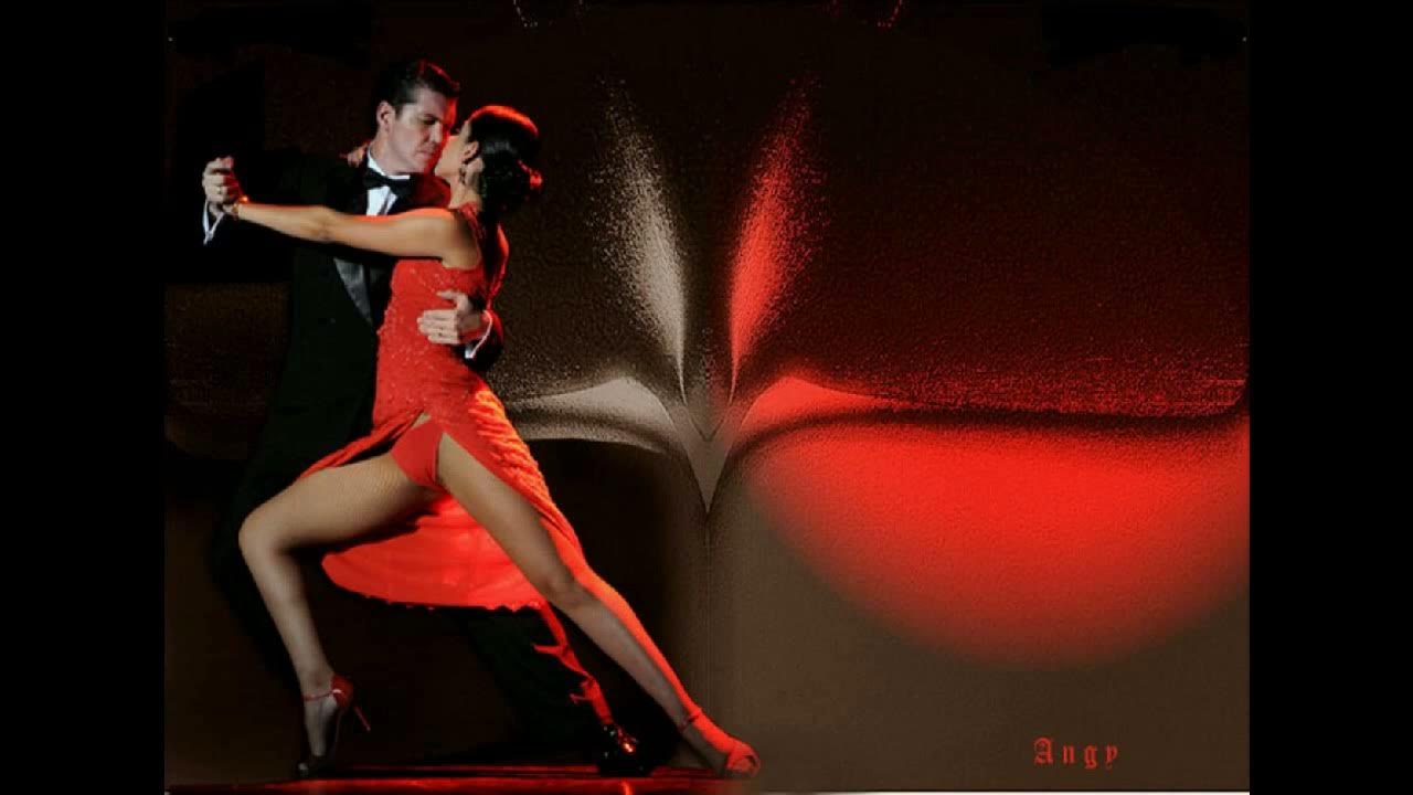 Avelina Tango Live