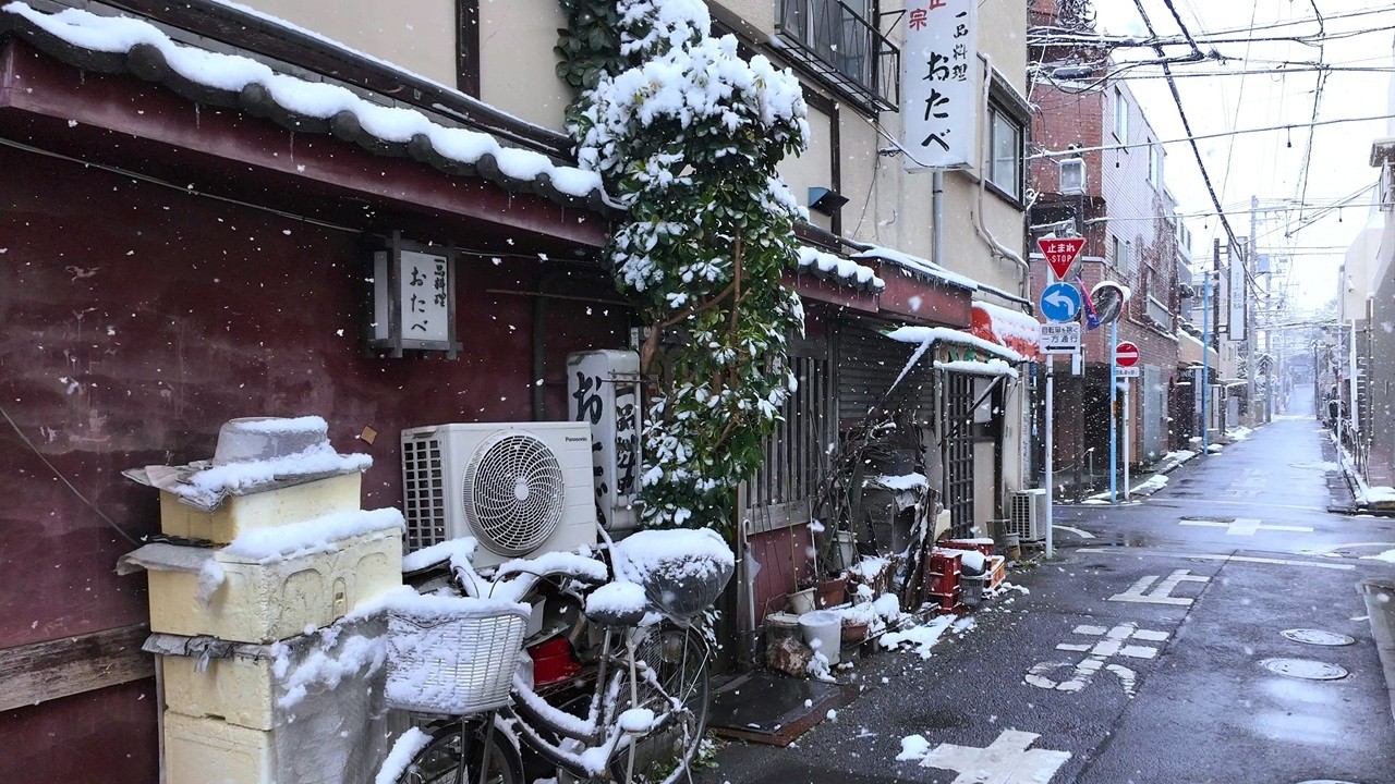 雪が降る高円寺を散歩【4K東京街歩き】Japan Tokyo 4K snowy walking tour/Koenji