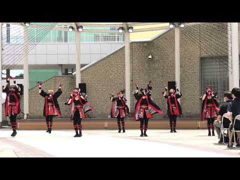 【4K】猛烈舞組　第７回いずみよさこい祭り