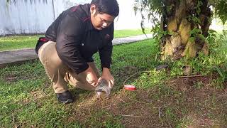 SEDIMENTATION TEST