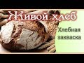 Живой Хлеб. Хлебная закваска. Ольга Дзюбан