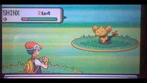 (Live) Shiny Shinx (Chain 40 and live shiny patch)