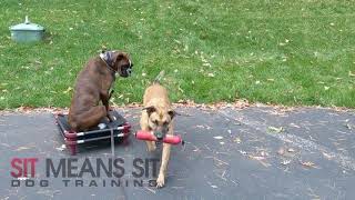 Buster Spotlight