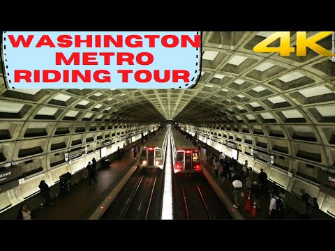 Video: De beste tingene å gjøre i Washington, D.C