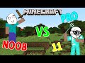 MINECRAFT - NOOB VS PRO 11