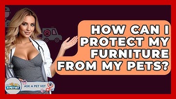 How Can I Protect My Furniture From My Pets? - Ask A Pet Vet