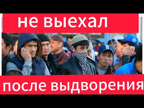 Не выехал после выдворения