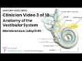 Anatomy of the Vestibular System — Canal Geometry | Clinician Video 3