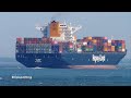 Tucapel  imo 9569970  container ship  at kugelbake 4k