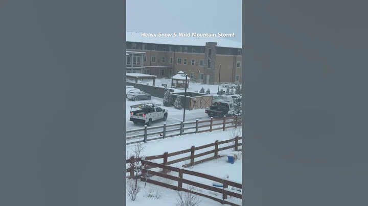 Heavy Snow Wild Mountain Storm! #blizzard #storm #action #shorts #nature #extreme #colorado #morning
