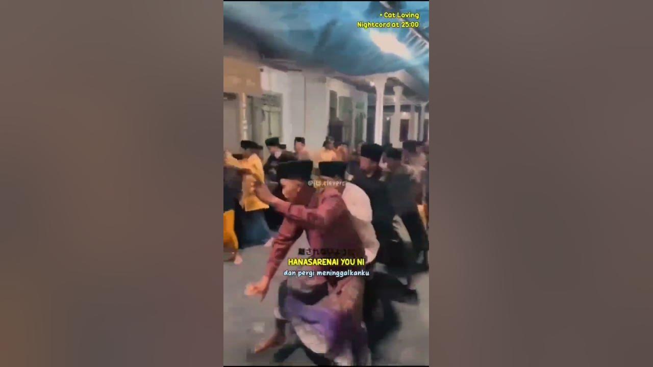Cat Loving Dangdut Meme