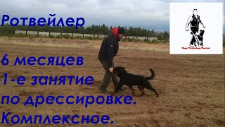 Первое занятие по дрессировке с щенком ротвейлера 6 месяцев. Первое занятие по дрессировке с щенком ротвейлера 6 месяцев.