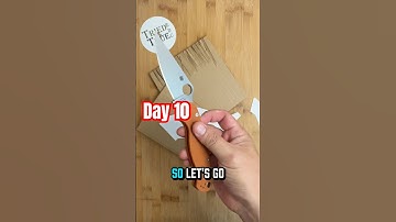 Retesting Day 🔟: Spyderco Paramilitary 2 Rex45 #triedandtrueedc #testing #spydercoknives