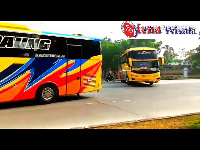 Bus Pariwisata Presented By Siena Wisata Transport (All Unit) class=