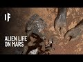 What If We Discovered Alien Life on Mars?