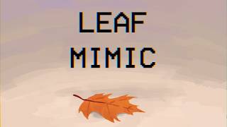 Zooliminology Leaf Mimic Care Guide
