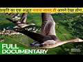 Environmental documentary in hindi| wild life documentary| animals planet| jungle box| wild planet|