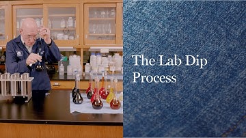 The Lab Dip Process