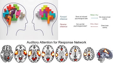 PSYC488_Judy_Cheng_Human brain mapping from a reverse inference perspective