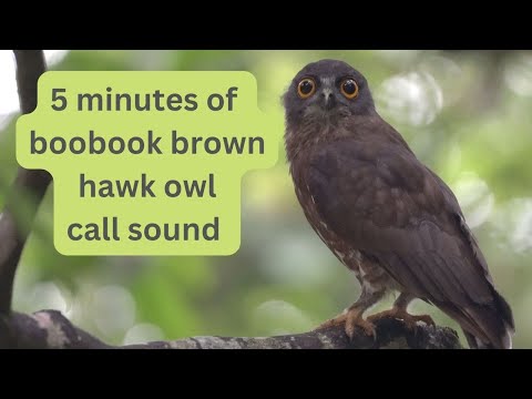5 minutes of