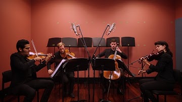 Bittersweet Symphony - Rosemont String Quartet