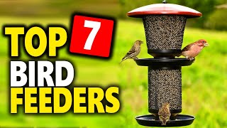 Top 7 Best Bird Feeders in 2024 (That Actually Attract Birds)