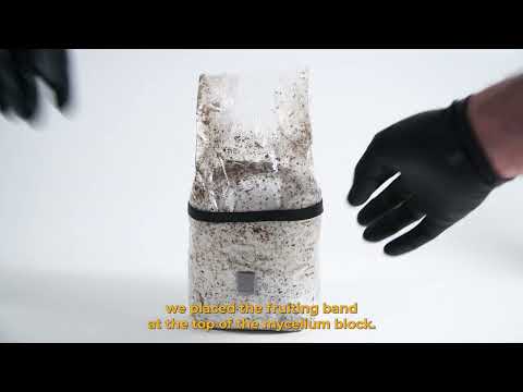 Product Video