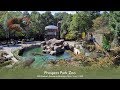 A Day at the Prospect Park Zoo - New York City