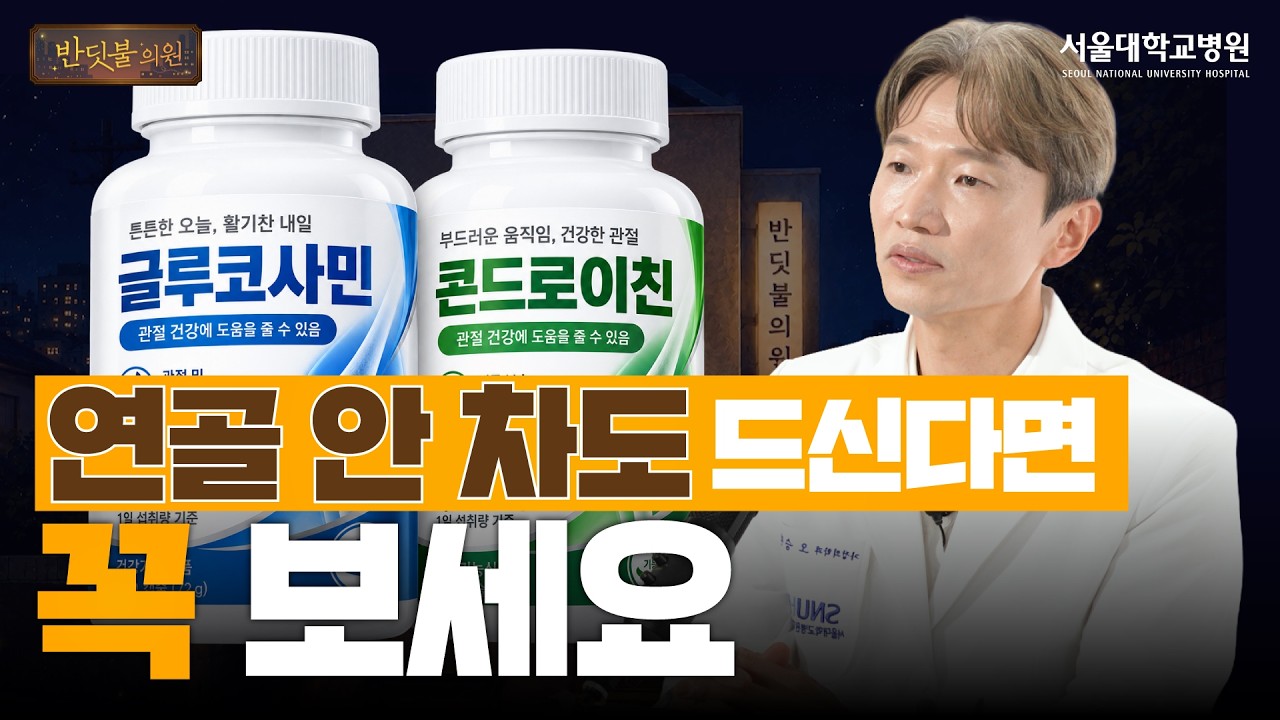 관절영양제 계속 먹어도 될까? 글루코사민·콘드로이친·MSM·보스웰리아의 진짜 효과