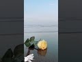 شايف البحر شو كبير كبر البحر بحبك وشايف السما شو بعيدة بعد السما بحبك فيروز فيروزيات رواق حب 